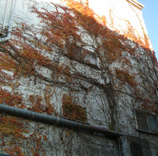 y6885.jpg