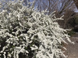 184A6DBC-AA1E-486C-A58E-D3B3700E7713.jpeg