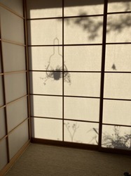 2624422D-20EB-4791-A529-76F2E0C80625.jpeg