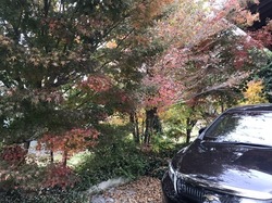 6B038D2E-46B1-4E0F-A3E4-2E46280FC0CA.jpeg