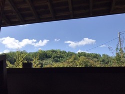 E12C58F0-B173-47C7-8125-F06E7D7FF7ED.jpeg