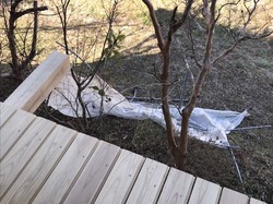 EB5D34C4-1D68-45EF-A048-CDAA5DF4141A.jpeg