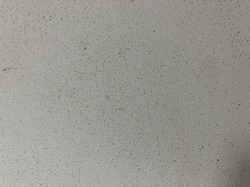 IMG_0076.jpeg