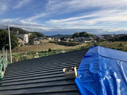 IMG_0205.jpeg