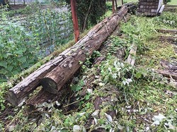 IMG_0293.JPG