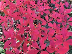 IMG_0416.jpeg