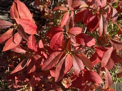 IMG_0422.jpeg