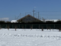 IMG_0721.jpeg