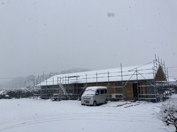 IMG_0752.jpeg