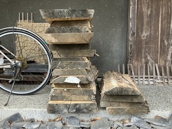 IMG_1037.jpeg