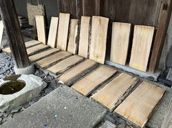 IMG_1040.jpeg