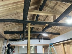 IMG_1271.jpeg