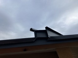 IMG_1452.jpeg