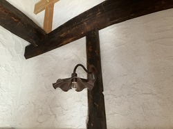 IMG_1907.jpeg