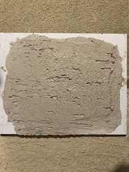 IMG_2026.jpeg