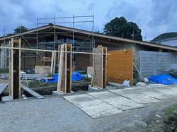 IMG_2365.jpeg