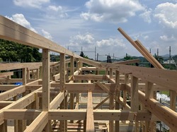 IMG_2378.jpeg