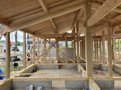 IMG_2413-82555.jpeg