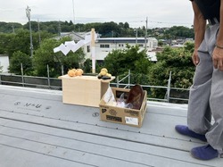 IMG_2766-8b5d1.jpeg