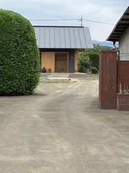 IMG_2814.jpeg
