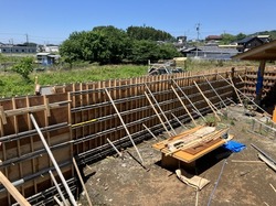 IMG_2835.jpeg