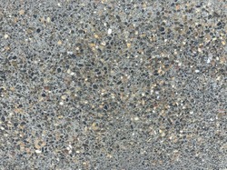 IMG_2985.jpeg