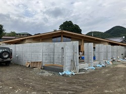 IMG_3040.jpeg