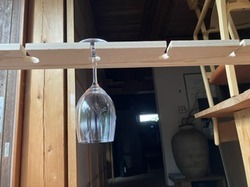 IMG_3181.jpeg