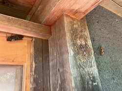 IMG_3240.jpeg