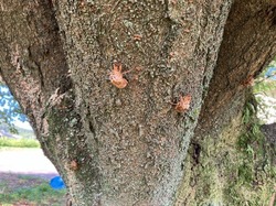 IMG_3255.jpeg