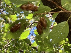 IMG_3258.jpeg