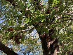 IMG_3261.jpeg