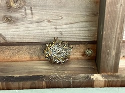 IMG_3602.jpeg