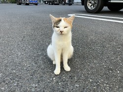 IMG_3657.jpeg