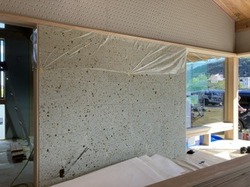 IMG_4204.jpeg