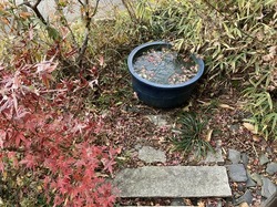 IMG_4468.jpeg