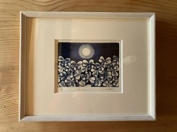 IMG_5452-b75ec.jpeg