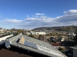 IMG_5474.jpeg