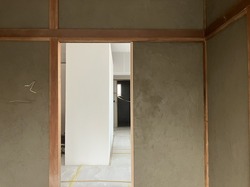 IMG_5617.jpeg