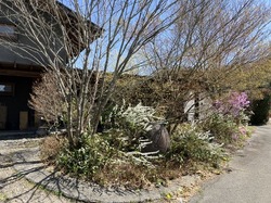 IMG_5981.jpeg