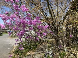 IMG_5988.jpeg