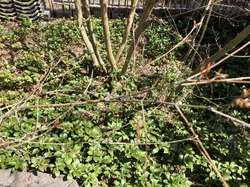 IMG_5989.jpeg