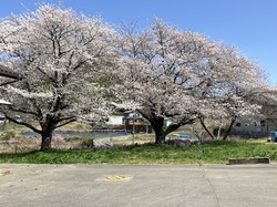 IMG_5992.jpeg