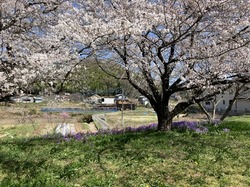 IMG_5993.jpeg