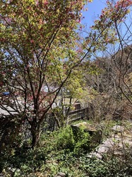 IMG_6001.jpeg