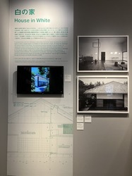 IMG_6102.jpeg