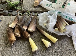 IMG_6194.jpeg
