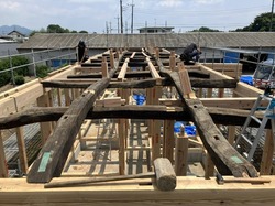 IMG_9195.jpeg