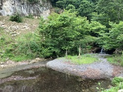 IMG_9366.jpeg