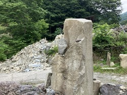 IMG_9367.jpeg